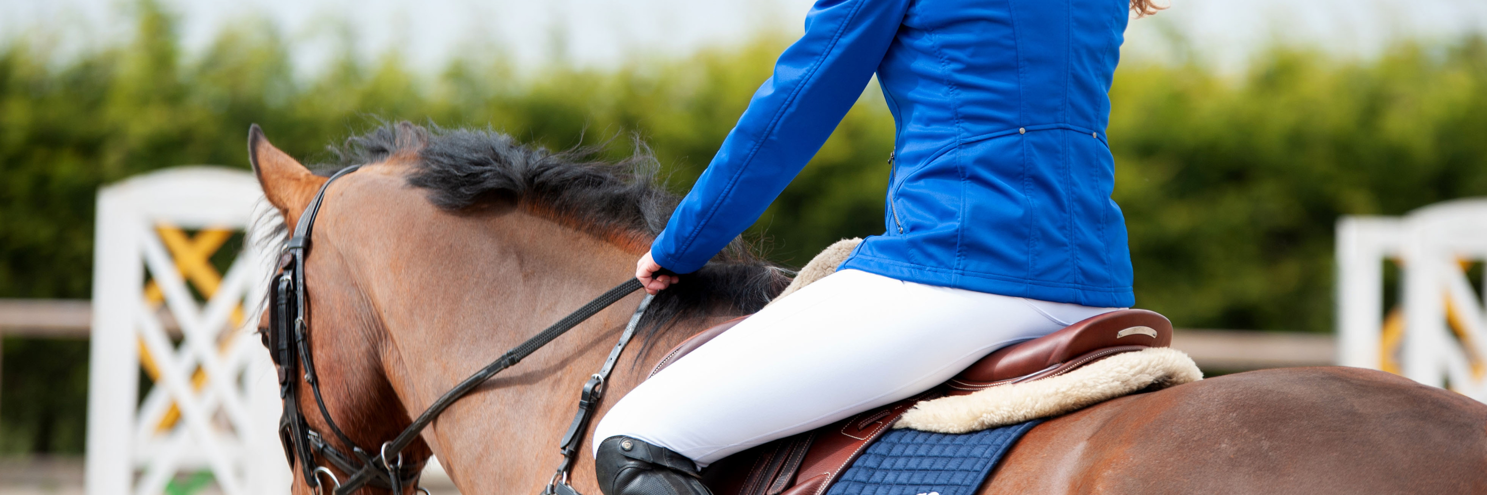 Covalliero - Riding Tights Superba - Equestrian Fashion